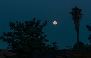Leaving moon