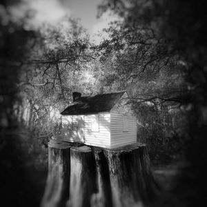 Set Up House