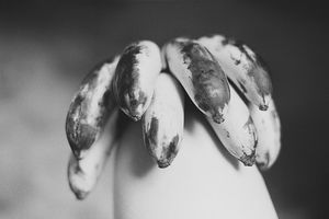 Live the banana dream