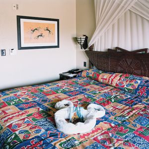 Disney African Animal Lodge