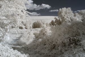 Faux Frost