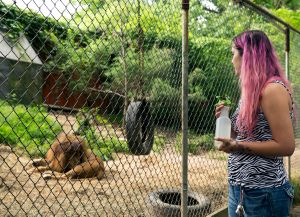 Riverside Wildlife Center, Stanton, MO