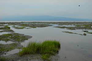 Quebec-Charlevoix-Île-aux-Coudres