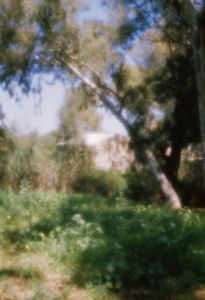 along the riverbank