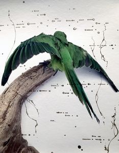 From the Series, Archetypal.  "Omens, Symbols"