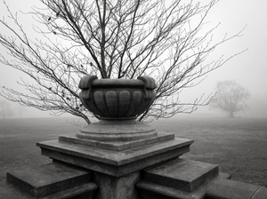 Empty Urn, Waveny Park, New Canaan, 12 12 20