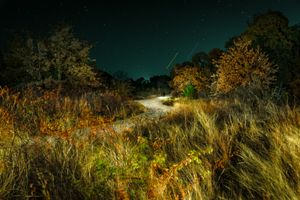 Grassland Field Road, Stars and Streaks, Shadowman