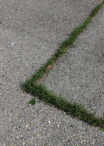 fragment 11