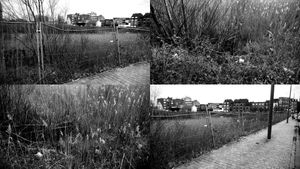 Anderlecht, behind Atlas brewery.