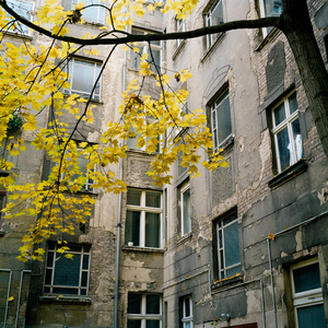 Window