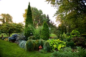 Garden Wild.