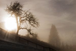 Mystic