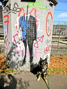 "Herr und Hund"