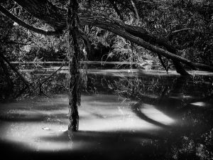 Beside the water II