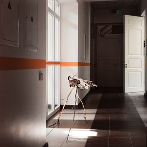 Work from series "Ilgas"