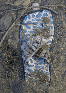 Forgotten Footsteps