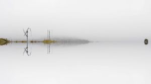 Fog 3. From the series, And the Whole World Stops.