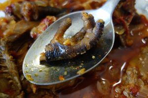 Portuguese Chicken Stew