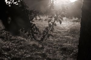 Fragments  #6