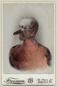 Aviary