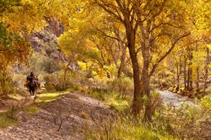 Bottom of the Grand Canyon