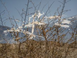 Entanglement