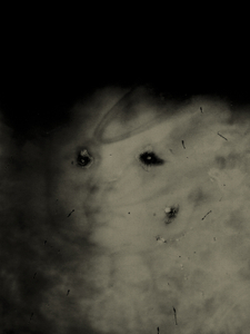 Chiaroscuro