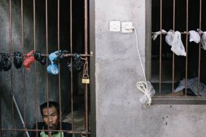 Made inside the cell