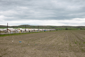 The Nea Kavala refugee camp in a field in northern Greece near the city of Polykastro. March 24, 2016.
