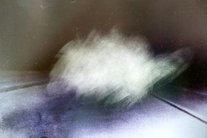 Untitled(White)