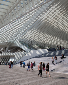 Liege Guillemins