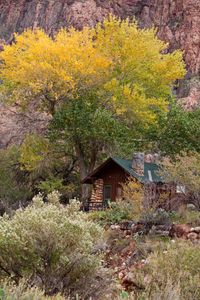Bottom of the Grand Canyon