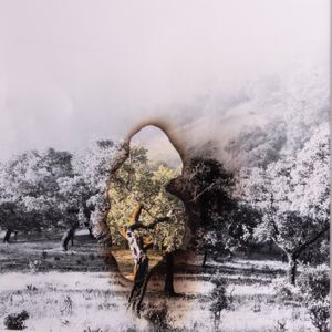 Burning tree