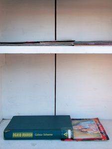 “Ex Libris: What Madison is (and is not) reading,” 2015