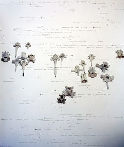 From the Series, Archetypal.  "Untitled."