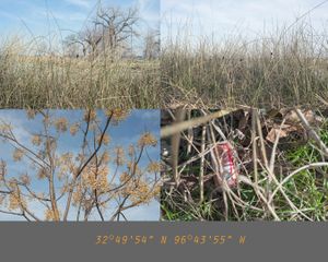 Creek bed #0008