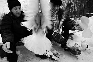 Vasily and Nicolay / Russia, Samara, 2013