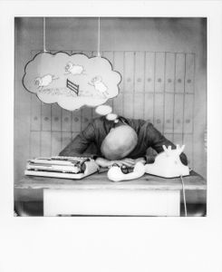 At the office - lunch nap
