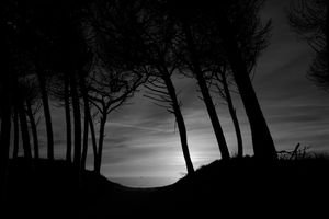 Ralf Moeller | LensCulture