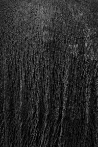 A Sea of Being