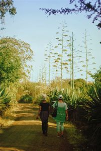 Leaving to go to the market