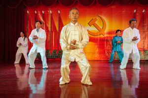 Students at a University of the Third Age (U3A) perform traditional Tai Chi moves during a performance. Universities provide learning and social classes for retired and elderly citizens.
