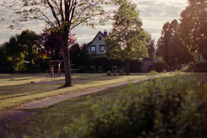 This Is Home #5
