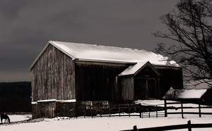 Working Farm in Winter