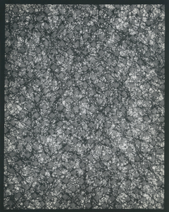 Fleece XII