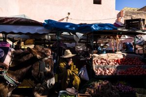 Marrakesh #7