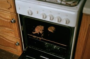 Frozen Burgers