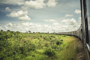 tazara.053