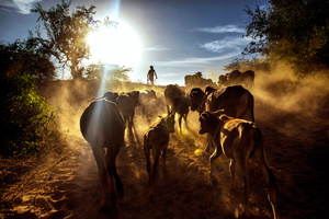 Drying the Rift