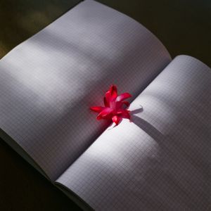 Work from series "Ilgas"